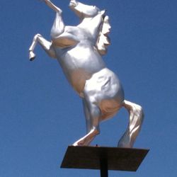 Silver Stallion Club