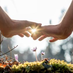 Monarch Acupuncture - Leah Grant is a Doctor of acupuncture with a speciality in herbal medicine. She focuses on giving high vibrational healing treatments.