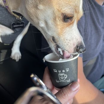 Mugs Coffee Roasters - Whittier - Coffee & Tea Near Me - Whittier, California