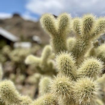 El Dorado Canyon Mine Tours - Tours Near Me - Nelson, Nevada El Dorado Canyon Mine Tours - Tours Near Me - Nelson, Nevada