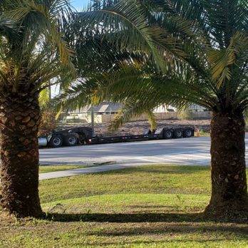 Sampson Tree Service 25 Photos Tree Services 2170 Sw Conant Ave Port St Lucie Fl Phone Number