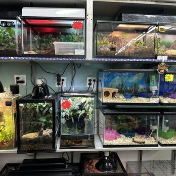 All in 1 Petshop - Small tanks for the poor animals :( - Pet Stores Near Me - New York, New York All in 1 Petshop - Small tanks for the poor animals :( - Pet Stores Near Me - New York, New York