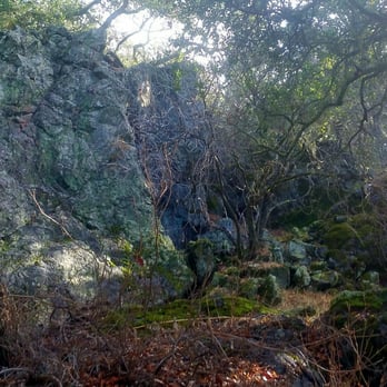 Moore Creek Park - Valentine Vista Trail - Parks Near Me - Saint Helena, California Moore Creek Park - Valentine Vista Trail - Parks Near Me - Saint Helena, California