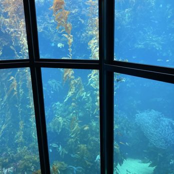 Monterey Bay Aquarium - Aquariums Near Me - Monterey, California