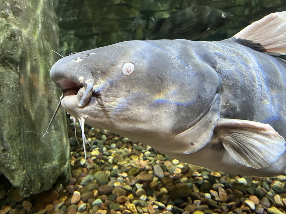 Sunflower House - social services organization in Shawnee, KS