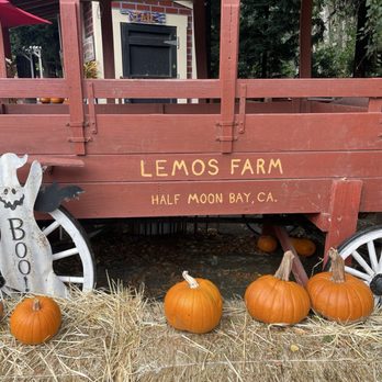 Lemos Farm - Amusement Parks Near Me - Half Moon Bay, California Lemos Farm - Amusement Parks Near Me - Half Moon Bay, California