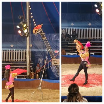 Zoppé circus - Dog show - Performing Arts Near Me Zoppé circus - Dog show - Performing Arts Near Me