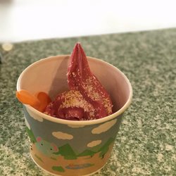 Yogurt City - Vegan non-diary pomegranate & raspberry