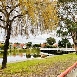 El Estero Park