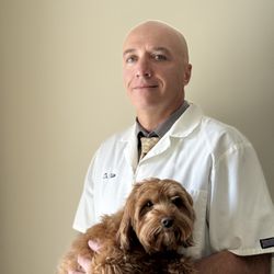 Emanoel Kotev DVM