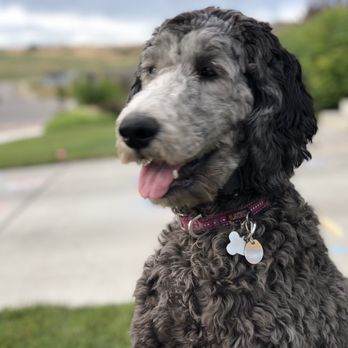 Underworld Kennels & Dog Training - Pet Training Near Me - Deweyville, Utah Underworld Kennels & Dog Training - Pet Training Near Me - Deweyville, Utah