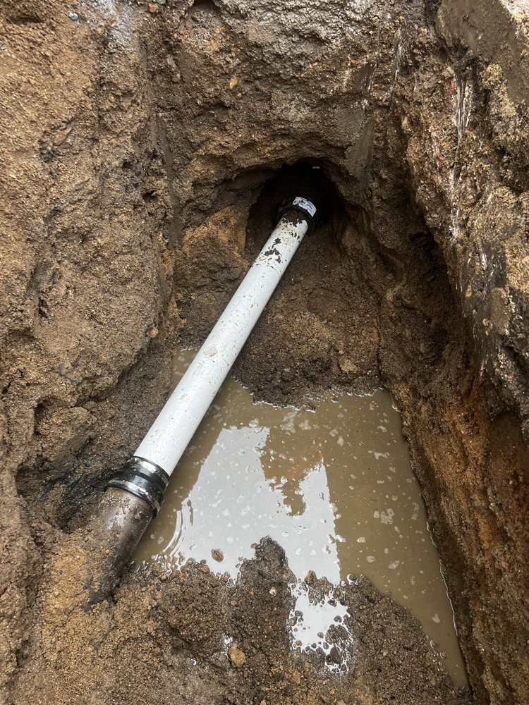 Slide of Larry & Company