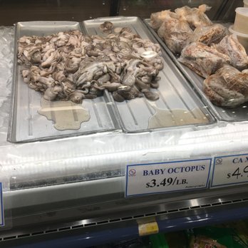 MT Supermarket - Baby Octopus $3.49/lb, Sept. 2017 - International Grocery Near Me - Austin, Texas MT Supermarket - Baby Octopus $3.49/lb, Sept. 2017 - International Grocery Near Me - Austin, Texas
