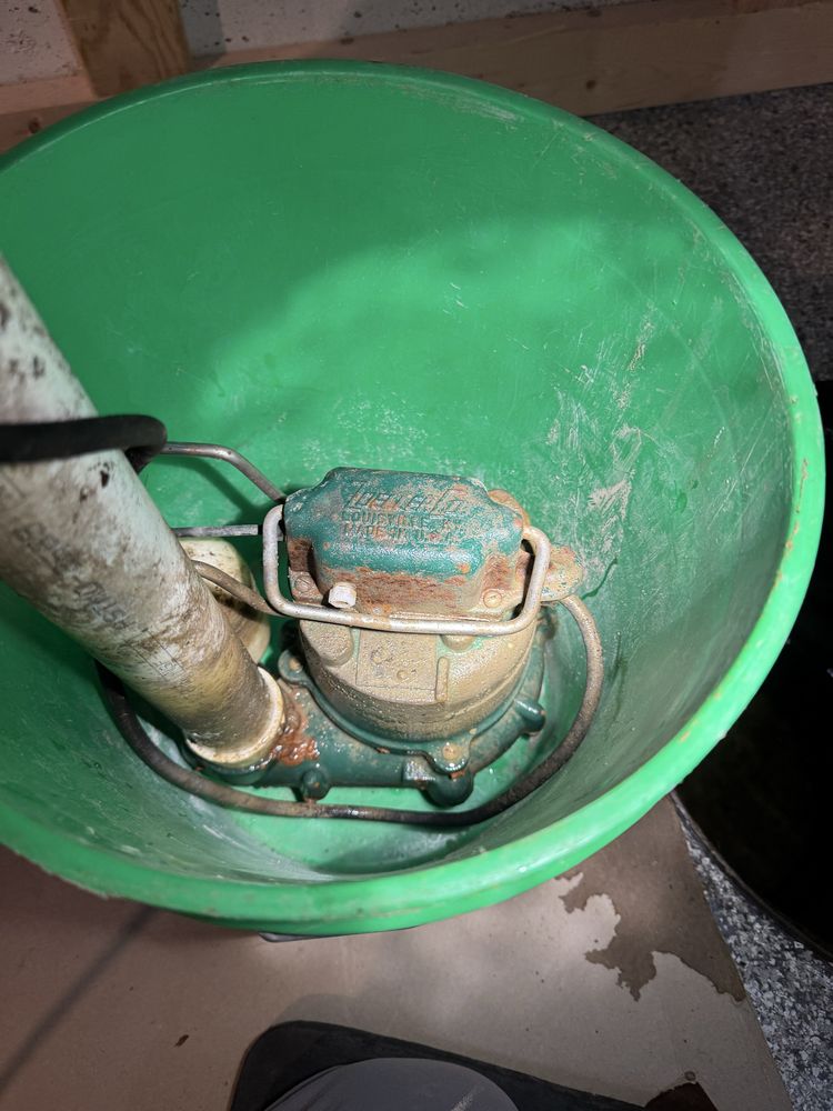 Slide of Root Busters