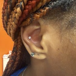 Art After Dark - Conch