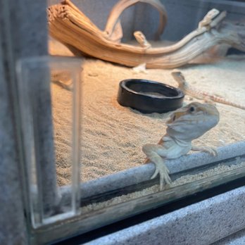 Xtreme Exotics - Reptile Shops Near Me - Jacksonville, Florida Xtreme Exotics - Reptile Shops Near Me - Jacksonville, Florida
