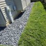 Photo of JZ Landscaping