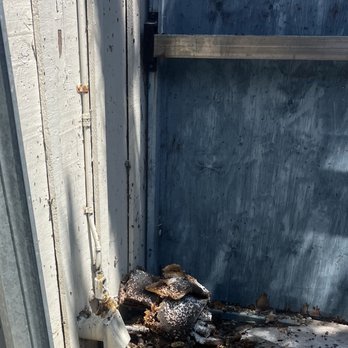 Pest Management Enterprise - Beehive removal - Pest Control Near Me - Los Angeles, California Pest Management Enterprise - Beehive removal - Pest Control Near Me - Los Angeles, California