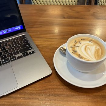 The Cáfe - Great Cafe for breakfast or branch. Much better coffee than Starbucks and better place for work too. - Cafes Near Me - Naples, Florida The Cáfe - Great Cafe for breakfast or branch. Much better coffee than Starbucks and better place for work too. - Cafes Near Me - Naples, Florida