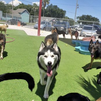 Hot Paws - Pet Groomers Near Me - Fernandina Beach, Florida Hot Paws - Pet Groomers Near Me - Fernandina Beach, Florida