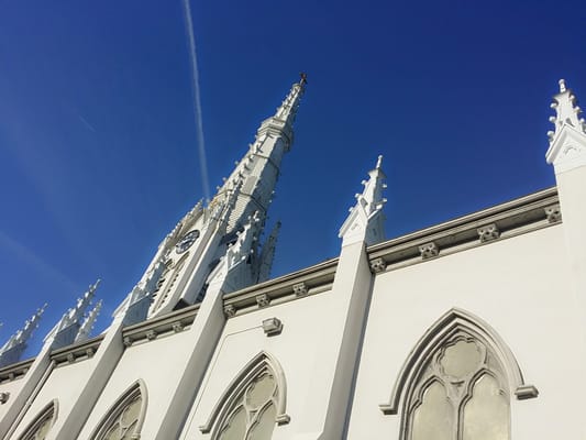 The Basilica of Saint Mary of the Immaculate Conception by null