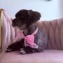 Photo of Ali Pet Salon