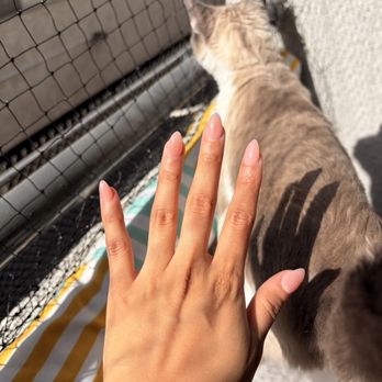 Nailed It Spa - Hard gel manicure with tips - Nail Salons Near Me - Tarzana, California Nailed It Spa - Hard gel manicure with tips - Nail Salons Near Me - Tarzana, California