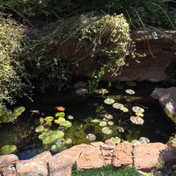 Exotic Aquatic