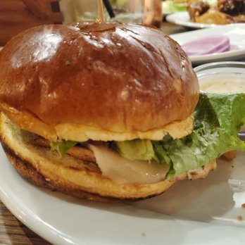 Elephant & Castle - Grilled chicken sandwich - Pubs Near Me - Chicago, Illinois Elephant & Castle - Grilled chicken sandwich - Pubs Near Me - Chicago, Illinois