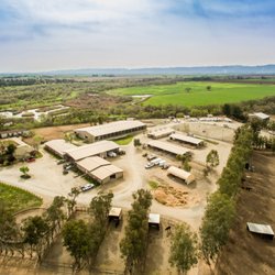 Woodland Stallion Station
