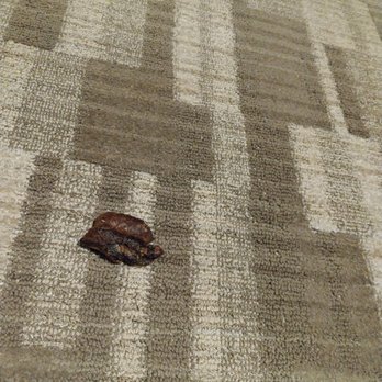 Las Soleras Senior Living - Poop in the movie/theater room - Retirement Homes Near Me - Santa Fe, New Mexico Las Soleras Senior Living - Poop in the movie/theater room - Retirement Homes Near Me - Santa Fe, New Mexico