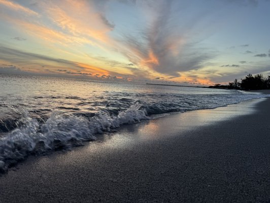 Venice Beach by null