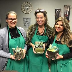 Brainy Actz Escape Rooms -Temecula - Brainy Actz Plant Night