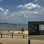 Photo of Ohio Street Beach