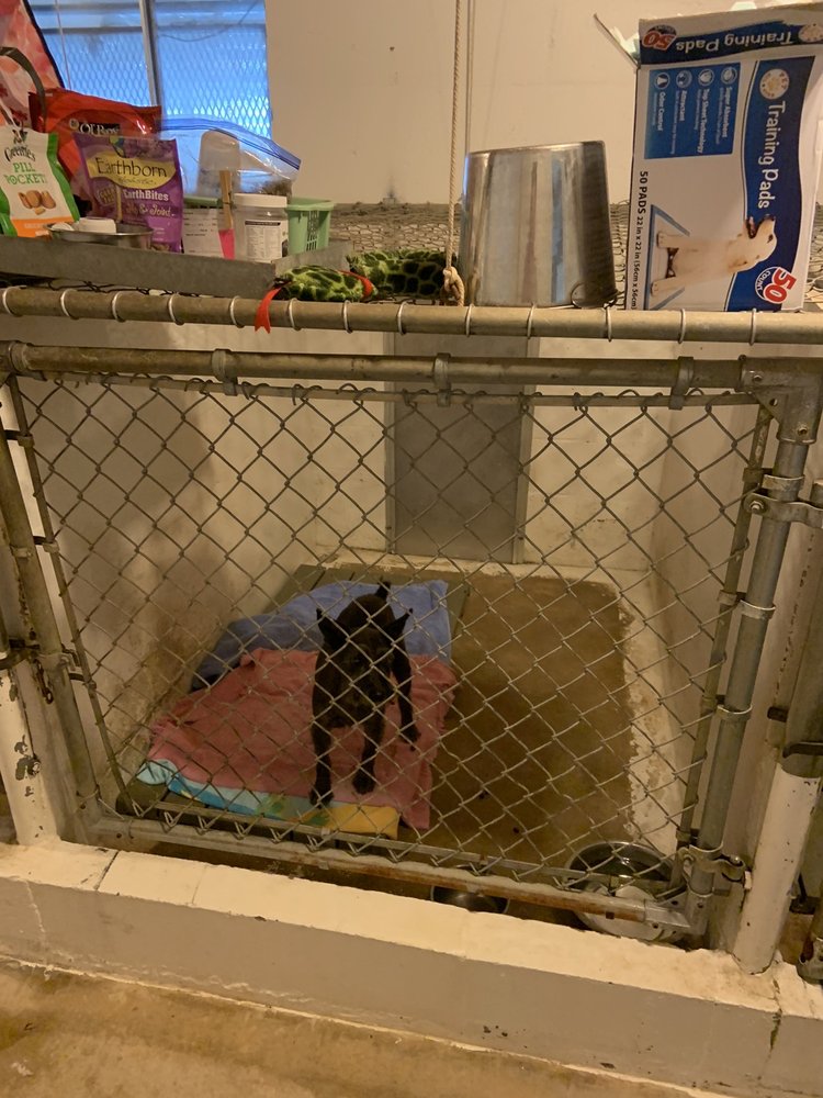 CAMEO KENNELS Updated September 2024 3519 N S St, Pensacola