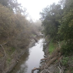 San Leandro Creek, on a foggy February morning. San Leandro Creek, on a foggy February morning.