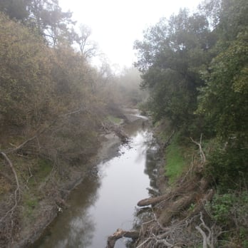 Upper San Leandro Reservoir - San Leandro Creek, on a foggy February morning. - Hiking Near Me - Moraga, California Upper San Leandro Reservoir - San Leandro Creek, on a foggy February morning. - Hiking Near Me - Moraga, California