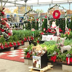 Lowe's Home Improvement