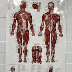 NSU Sports Medicine Clinic