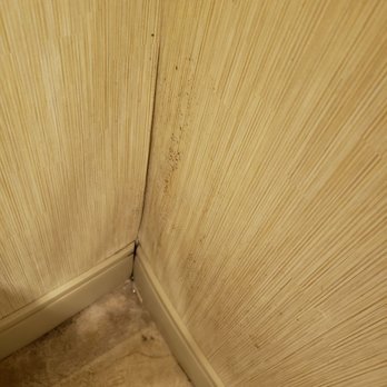 Residence Inn by Marriott Charleston Riverview - Wallpaper is dirty & coming apart in bathroom. - Hotels Near Me - Charleston, South Carolina Residence Inn by Marriott Charleston Riverview - Wallpaper is dirty & coming apart in bathroom. - Hotels Near Me - Charleston, South Carolina