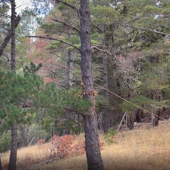 One Two Tree Care - Tree Services Near Me - Tracy, California