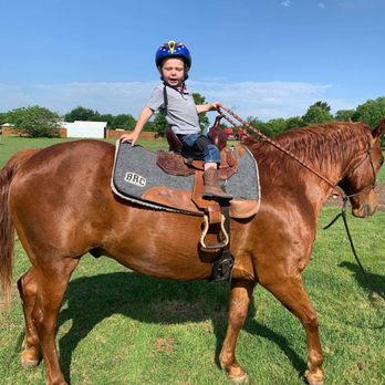 S Bar C Performance Horses - Horseback Riding Near Me - Cedar Hill, Texas S Bar C Performance Horses - Horseback Riding Near Me - Cedar Hill, Texas