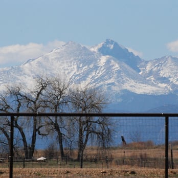 Rocky Mountain Kennels - Pet Groomers Near Me - Longmont, Colorado
