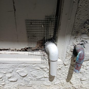 Attic Pros - Pest Control Near Me - Oakland, California
