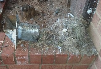 Slide of Services Squad