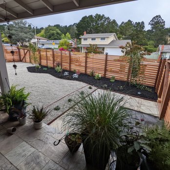 Imagine Landscaping - Landscaping mostly complete, with plants and trees that Alfredo planted. - Landscaping Near Me Imagine Landscaping - Landscaping mostly complete, with plants and trees that Alfredo planted. - Landscaping Near Me
