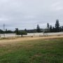 Photo of Lulu's Dog Park