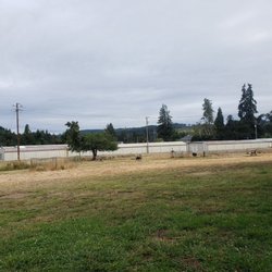 Lulu's Dog Park - Lulu's Dog Park