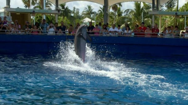 Miami Seaquarium by null