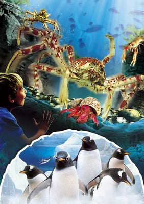 SEA LIFE Konstanz by null